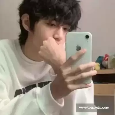 蓬盈晓